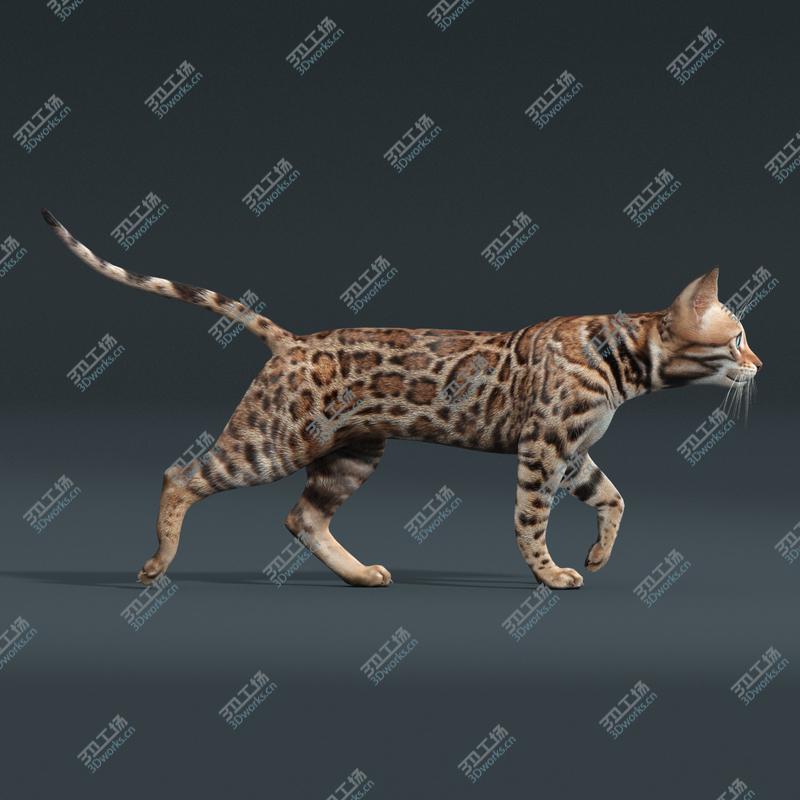 images/goods_img/20210319/Bengal cat(ANIMATED)/5.jpg